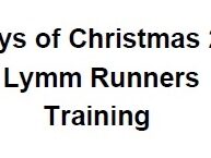 12 Days of Christmas